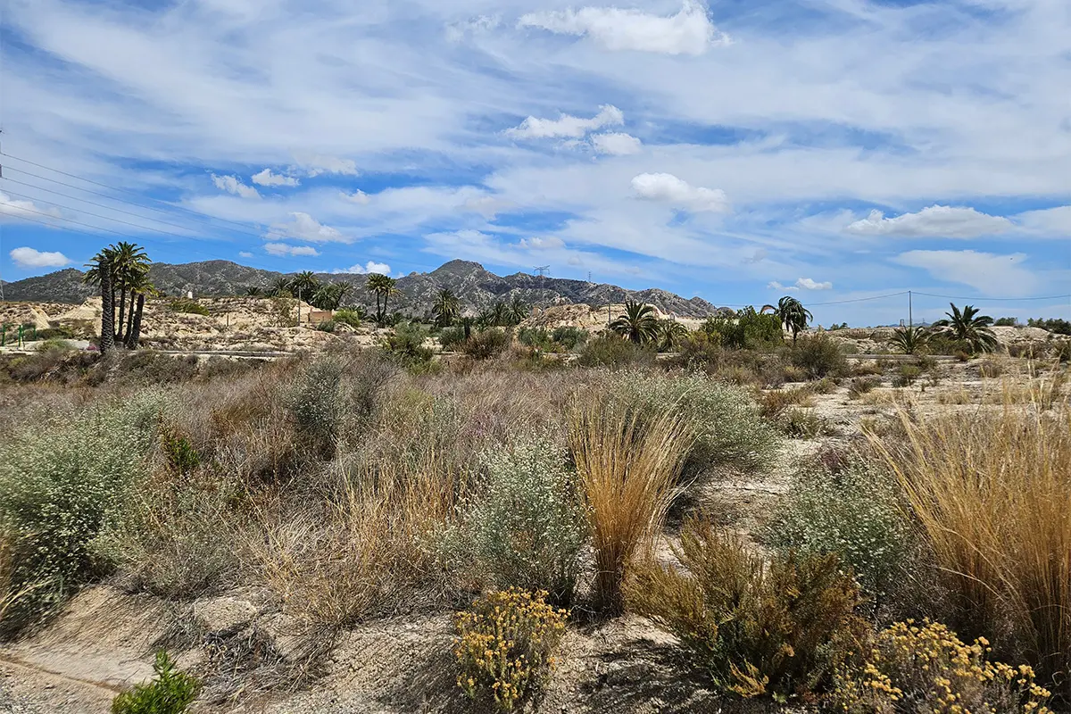 Stunning scenery on the Murcia Deluxe Quad Adventure Tour